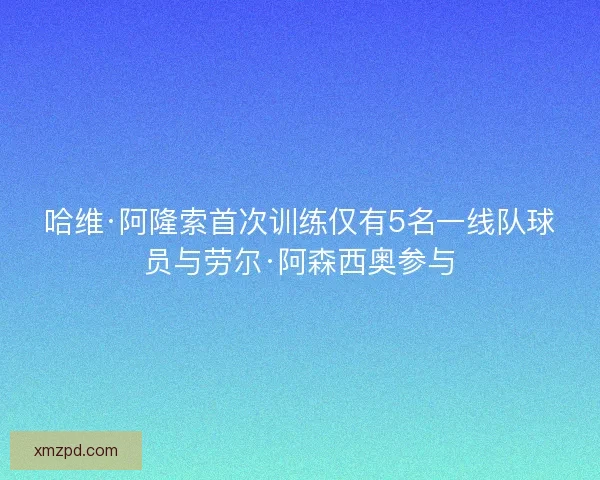 哈维·阿隆索首次训练仅有5名一线队球员与劳尔·阿森西奥参与